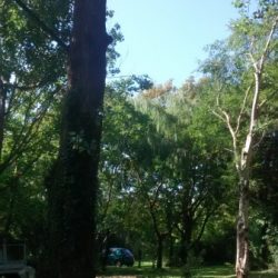 IMG 20140911 151040495