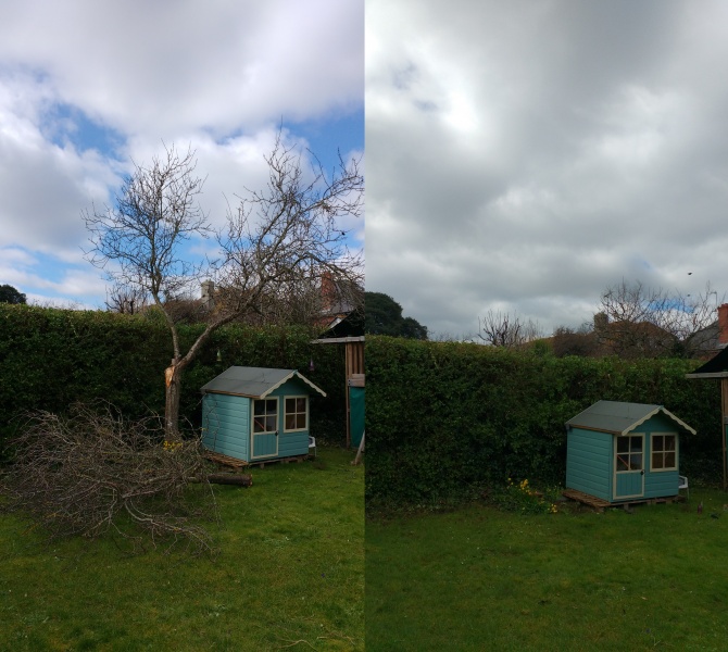 Prunus Fell Weymouth 10/03/2016